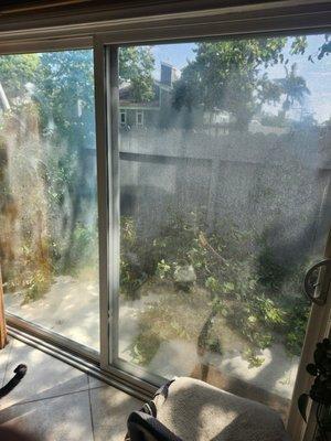 Natural Green Landscape