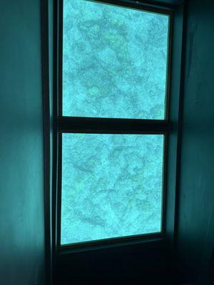 Glass bottom of the boat.