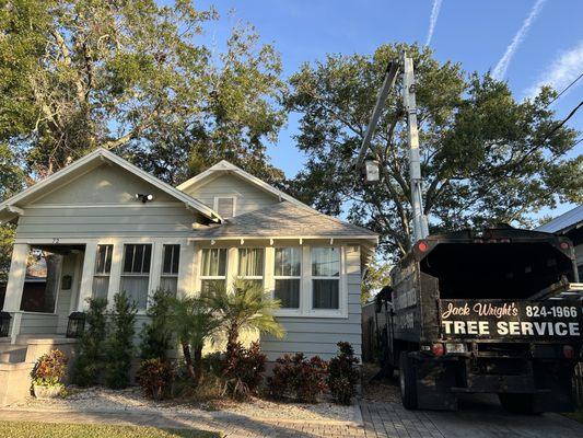 Jack Wright's Tree Service