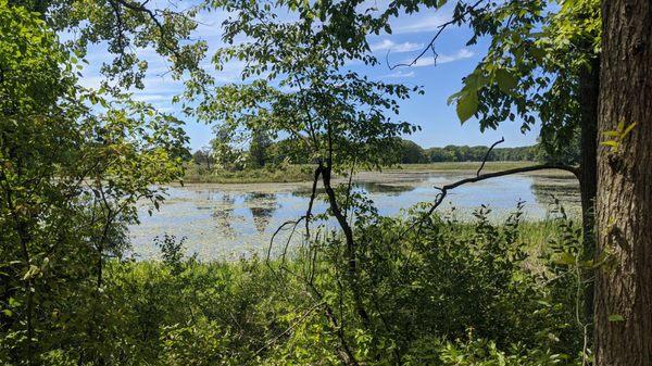 DTE Energy Foundation Trail