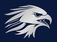 White Falcon Immigration Solutions