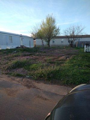 Here a empty Lot, @ Cairns Community on Shields. They haven't mowed this Lot at all. And it's been 6 mos, & they charge $50 if u don't mow.