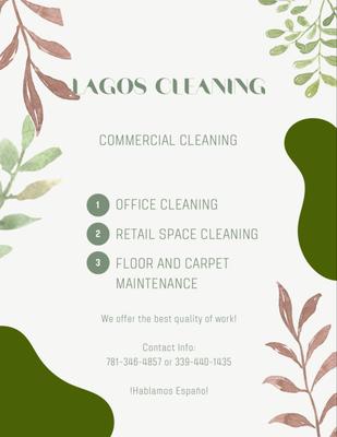 Lagos Cleaning
