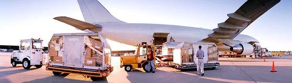 Services: Ocean Freight Customs Brokerage Air Freight Warehousing and Distribution Surface Transportation Cargo Insurance