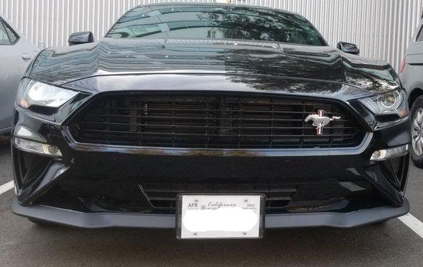 Looks great with my plates installed! No holes in the bumper!