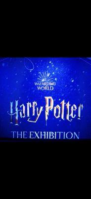 Harry potter the exhibition NYC