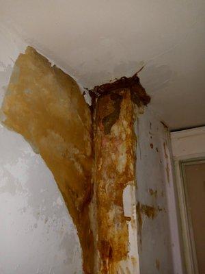 JNL Roofing & Construction