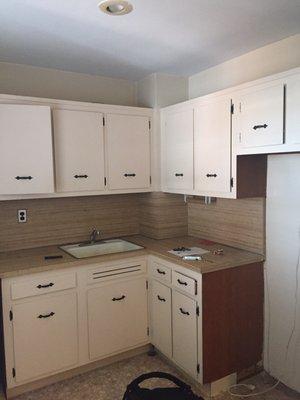 Gutter Mac and Painting