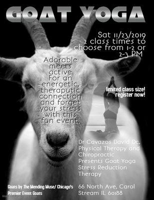 M&M Chicago's Premier Event Goats