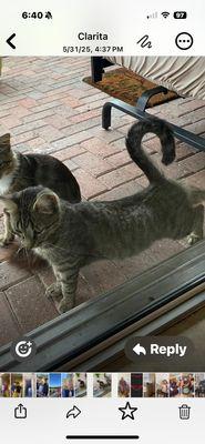 Lee County Animal Services