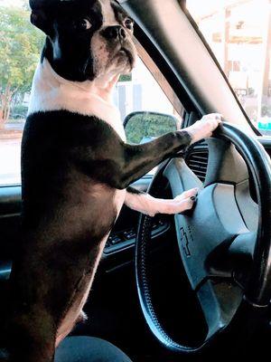 Pit Stop Service Center