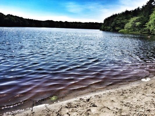 Fresh Pond Conservation Land and Dog Park