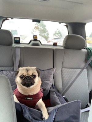 Barnes Veterinary Services