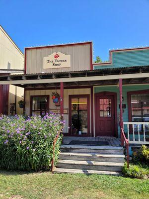 Fresh,Silk, Freeze Dried Flowers,Shadow Boxes, Chocolates,Gourmet Popcorn, Christian Gifts,Puff Magic Slime, Western Deco,Plants