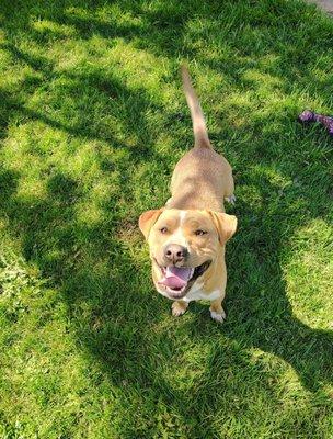 Suns Out Time To Play!