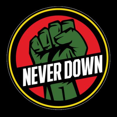 Never Down 24-Hour Commercial Roadside Service & Towing