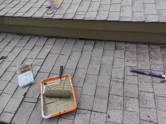 AcEco Extermination & Insulation