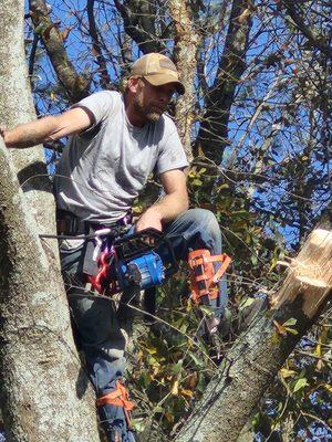 Fosters Landscaping and Tree Removal