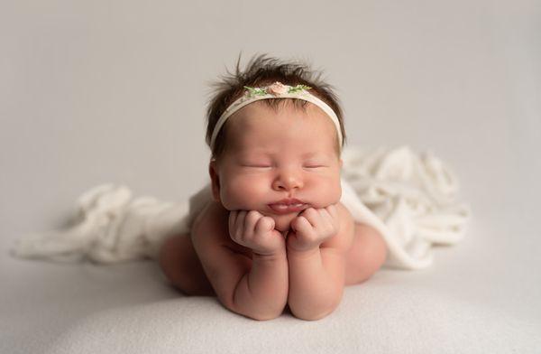 Love Me Silly Studio