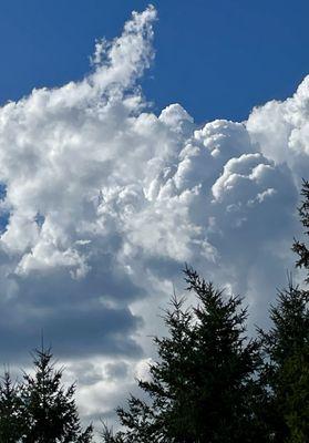 A big field under a big sky.