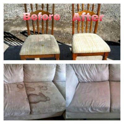 Wolfsteam Cleaning Solutions