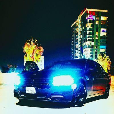 Sasquatch Mobile Detailing