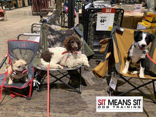 Sit Means Sit Albuquerque