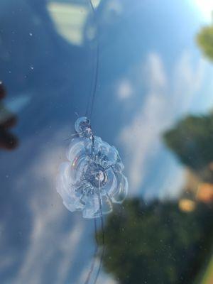 Broken windshield due to loose load from a Harley Hollan truck.