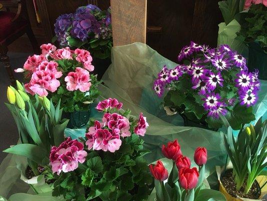 Marilla United Methodist Church