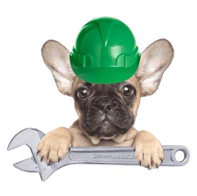 Handyman Build Dog