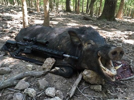 High Adventure Game Ranch