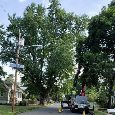 Dj Trees Landscaping and More