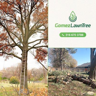 Gomez Lawntree
