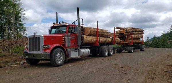 Andy Gulley Logging