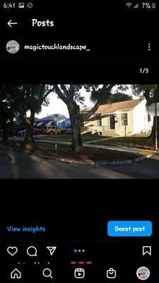 Magictouch Landscape and Tree Removal Services