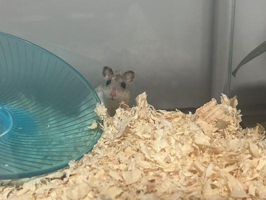 Nevins Farm and Equine Centre