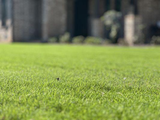 Seabreeze Property Service