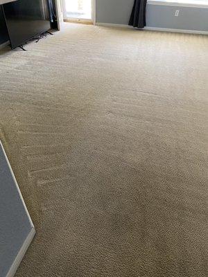 Zero-In Carpet Cleaning