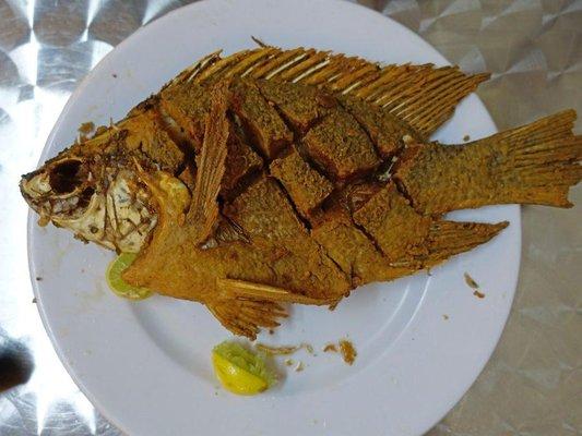 Ethiopian Cafe and pizza