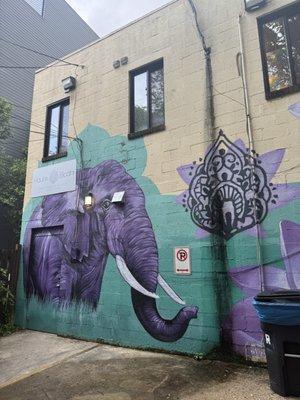 Haute Bodhi Yoga & Pilates