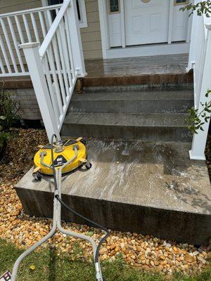 Dark Horse Property Services