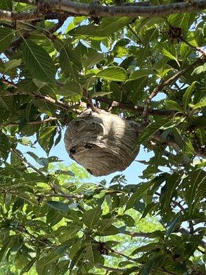 S.P.R.K. Pest Solutions