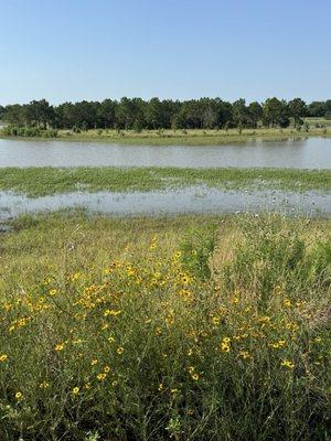 Mason Creek Hike & Bike Trail