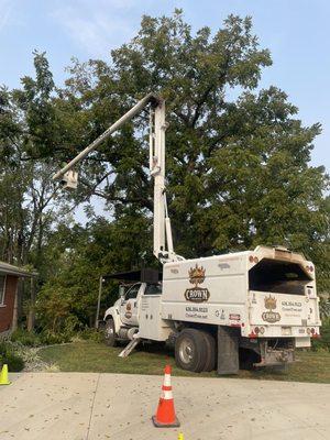 Crown Tree Service