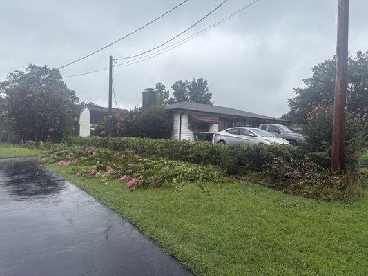 Eager Beaver Services