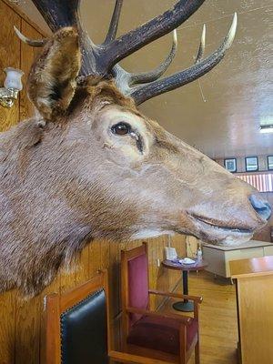 Bpo Elks Lodge