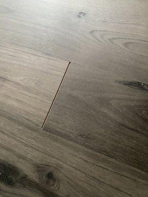 The seam of where the floor is coming apart.