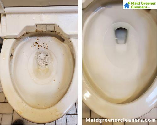 Maid Greener Cleaners