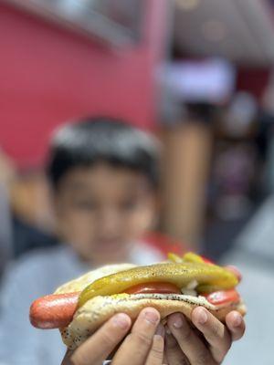 America's Dog & Burger