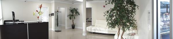 The Perfect Hair Company